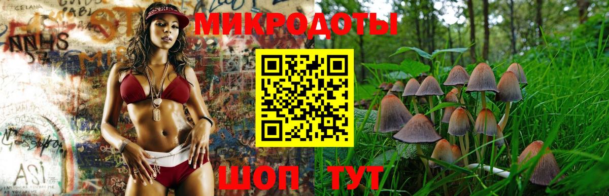 Псилоцибиновые грибы GOLDEN TEACHER  Вход с VPN  Нарткала  что такое наркотик  Псилоцибиновые грибы Psilocybe 